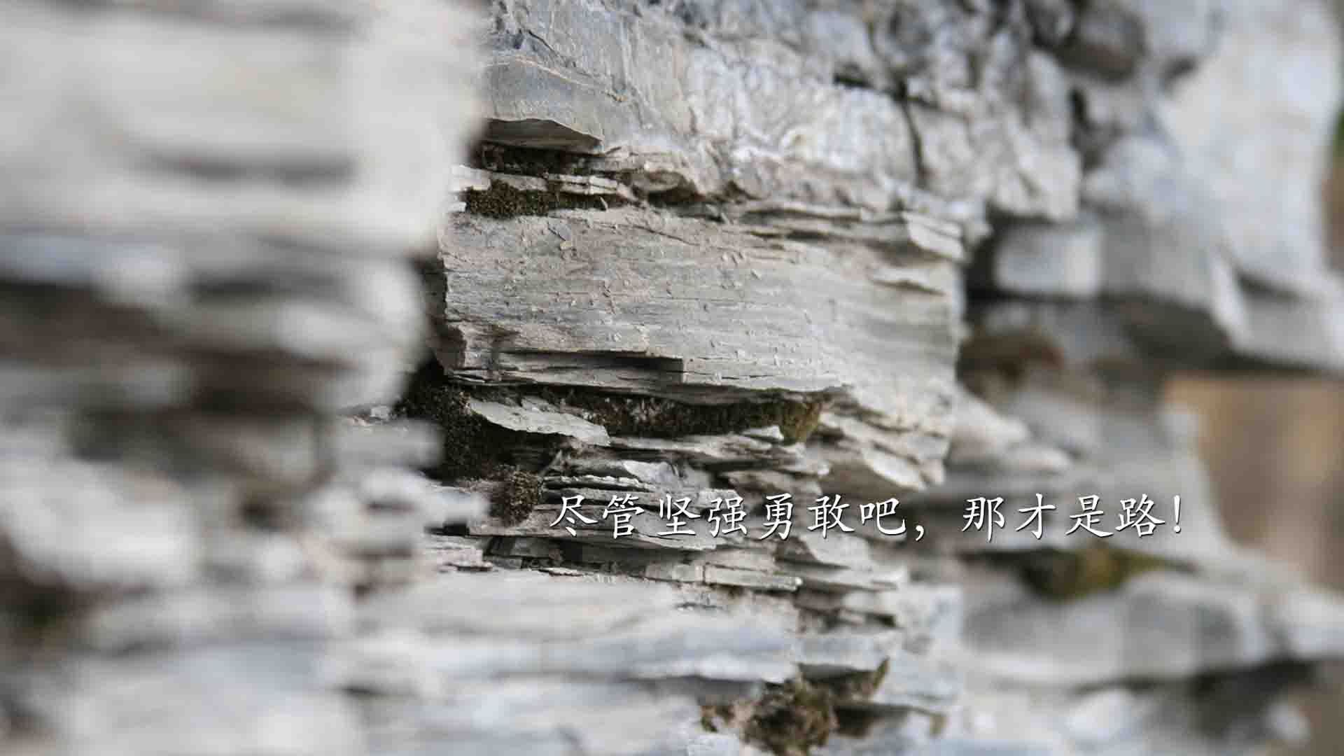 _珍贵比赛瞬间集锦：历史性胜利瞬间回顾_，珍贵无比的比赛录像