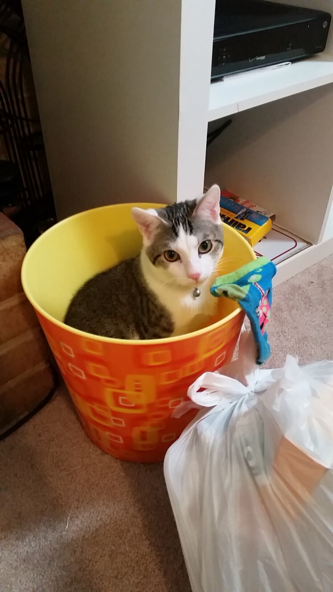 “裁判判罚引争议,中超比赛中遇到的挑战”,中超裁判要求