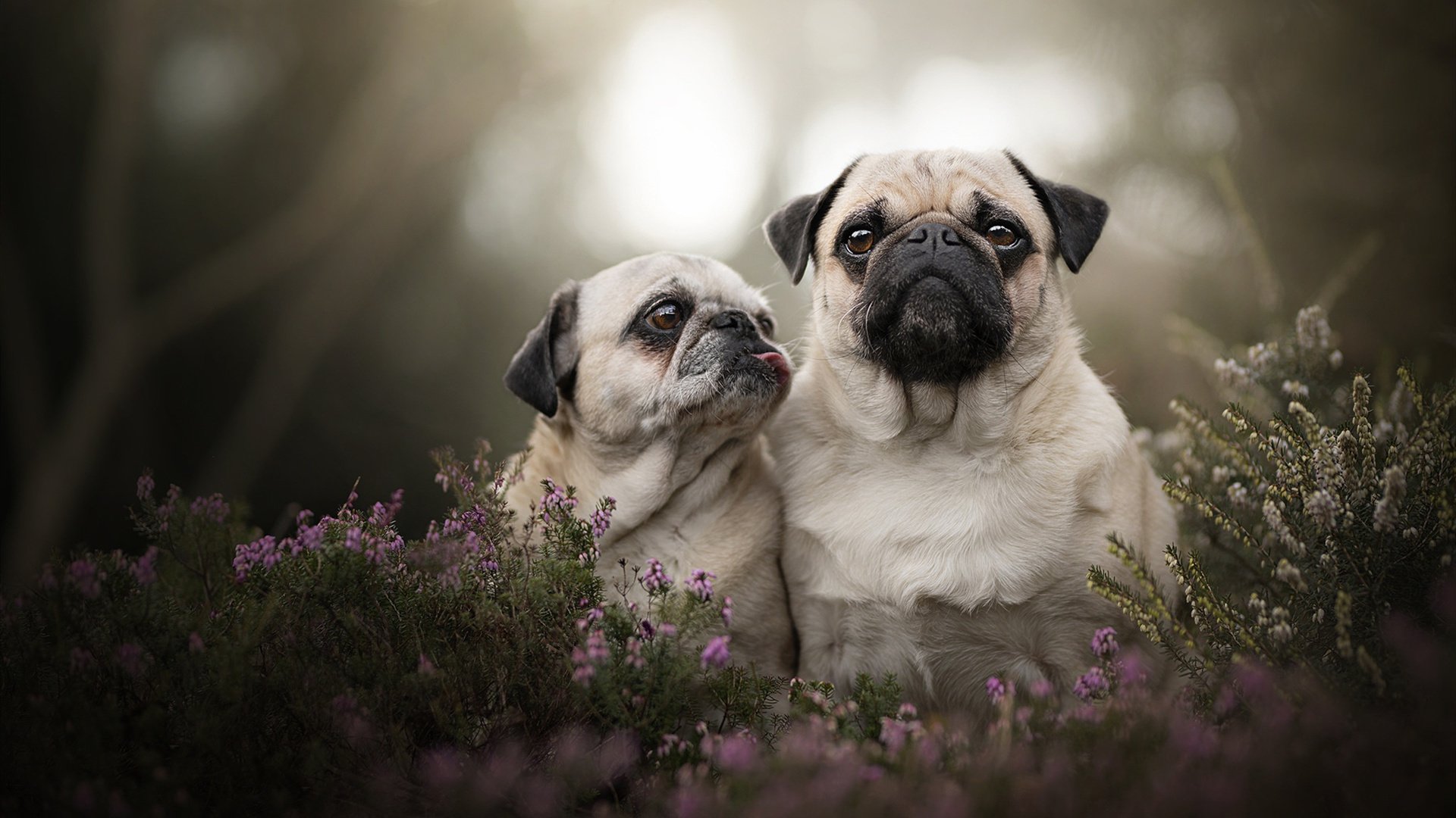 【逆转瞬间】经典比赛中运动员用战术折服对手的精彩场景,十大经典逆转赛事