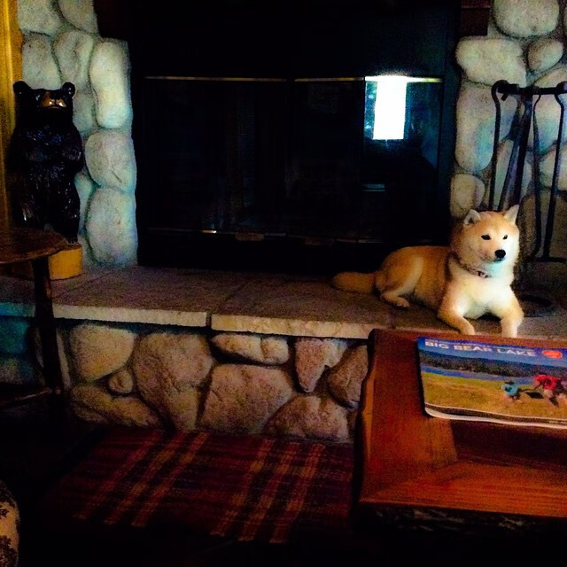 团队高奏凯歌：北京队助攻数达到22次，配合佳作不断！