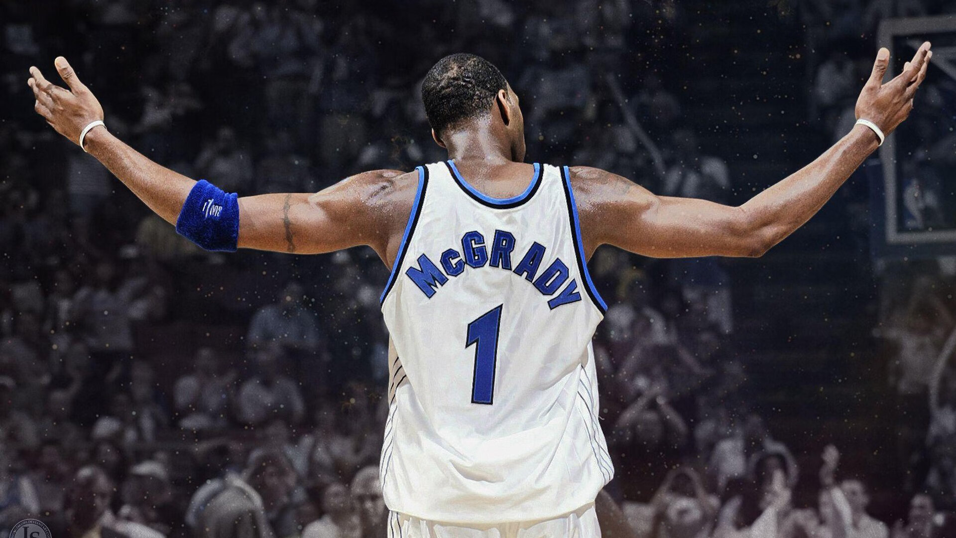 最“萌”的比赛：球迷与动物的趣味互动，动物踢球的游戏