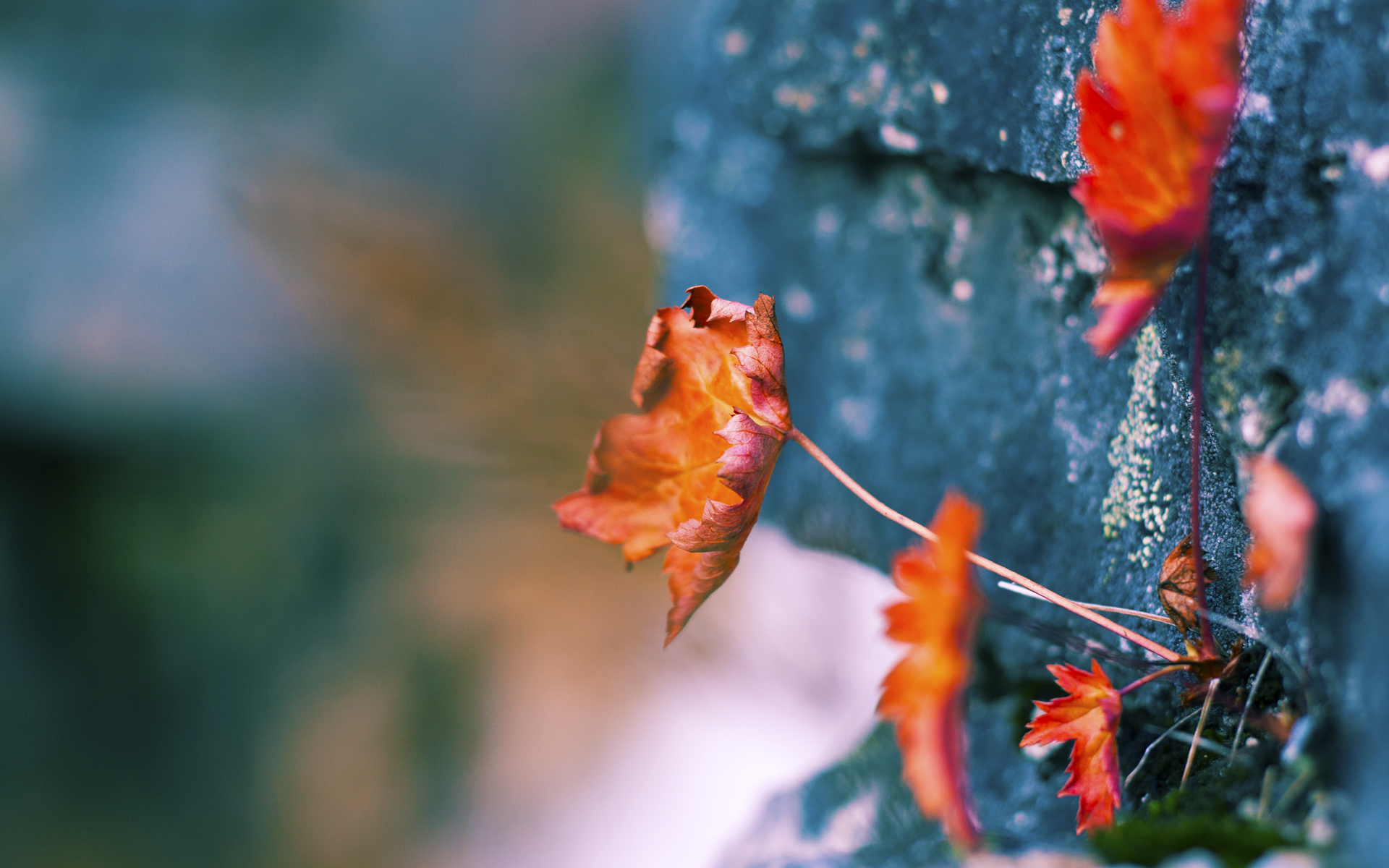 川崎前锋与横滨水手激烈对决,川崎前锋 横滨