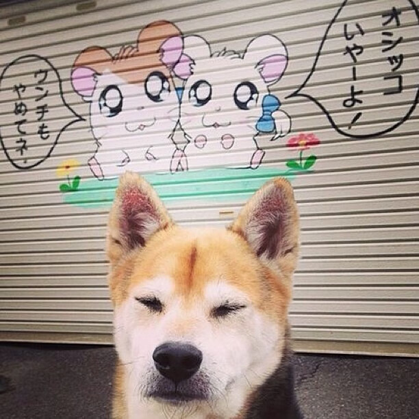 英格兰队在欧洲杯八分之一决赛中以2比0战胜瑞士队，晋级四强，英格兰国家队欧洲杯