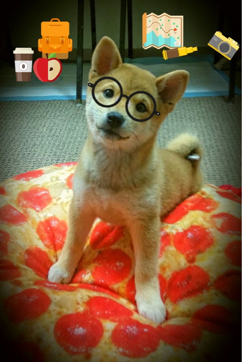 贝蒂斯苦战打出平局,与对手握手言和,贝蒂斯球队属于什么级别