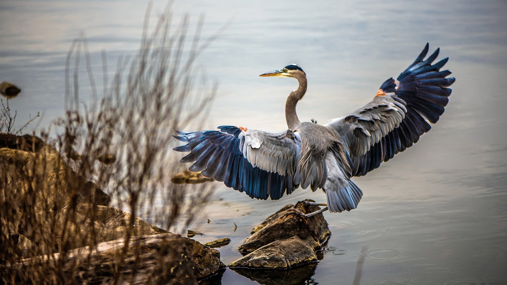 中国篮球联赛观众行为特征与市场营销,篮球观众席座次安排图