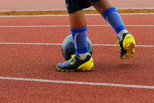 中国青少年篮球运动员体能素质发展规律，我国篮球青少年运动发展现状