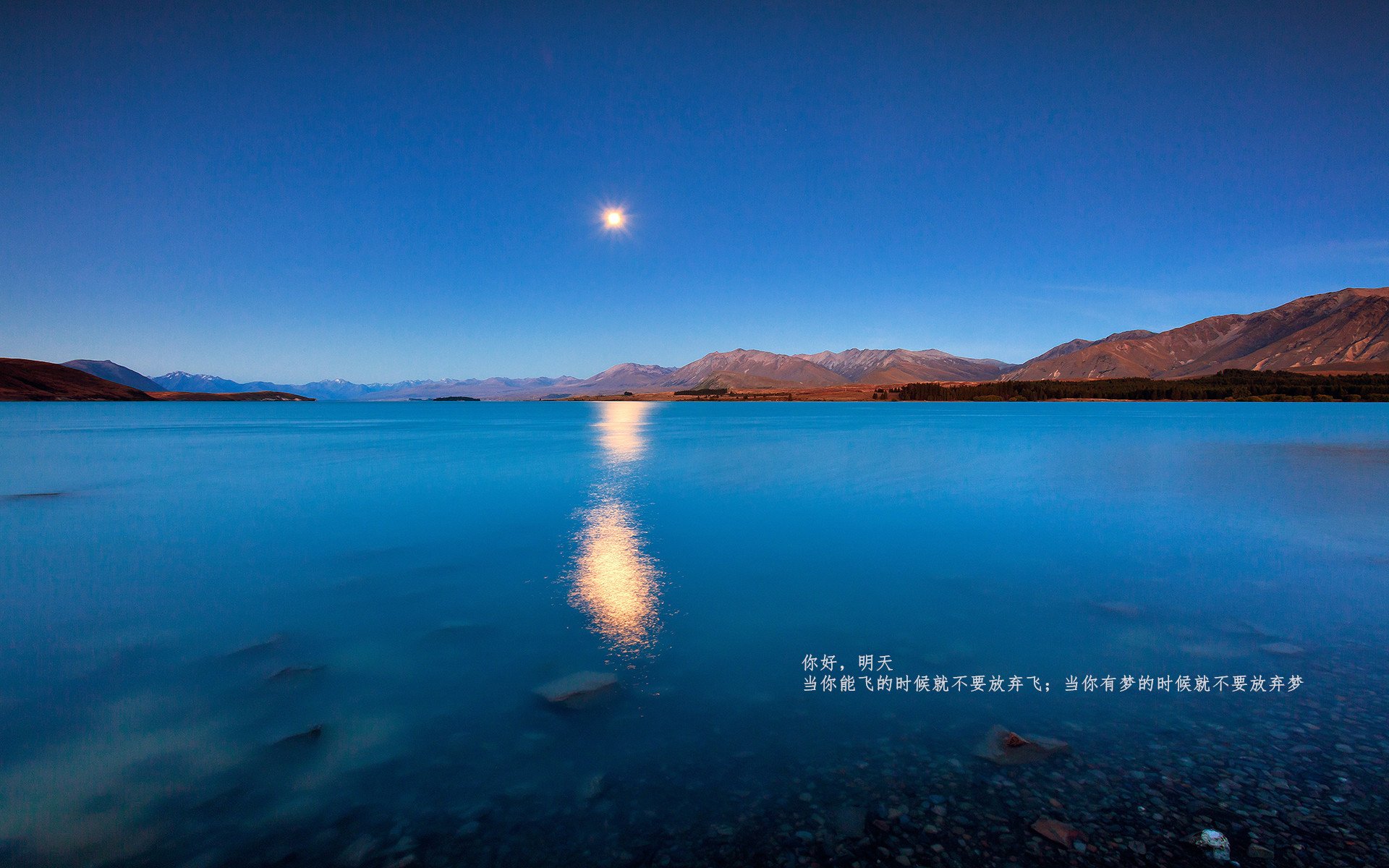 中国香港队的表现解析：国际乒联混合团体世界杯的亮点与挑战，乒乓球香港队和国乒什么关系