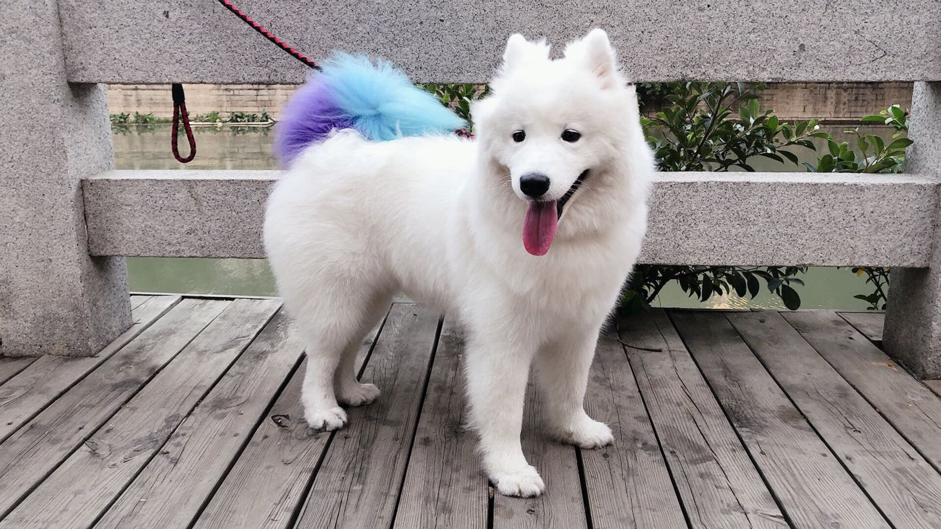 国家队选材标准是否科学合理,国家队选人是怎么选的