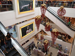 迈向未来：Chinese Taipei团队在国际赛场的崭新发展，chinese of taipei