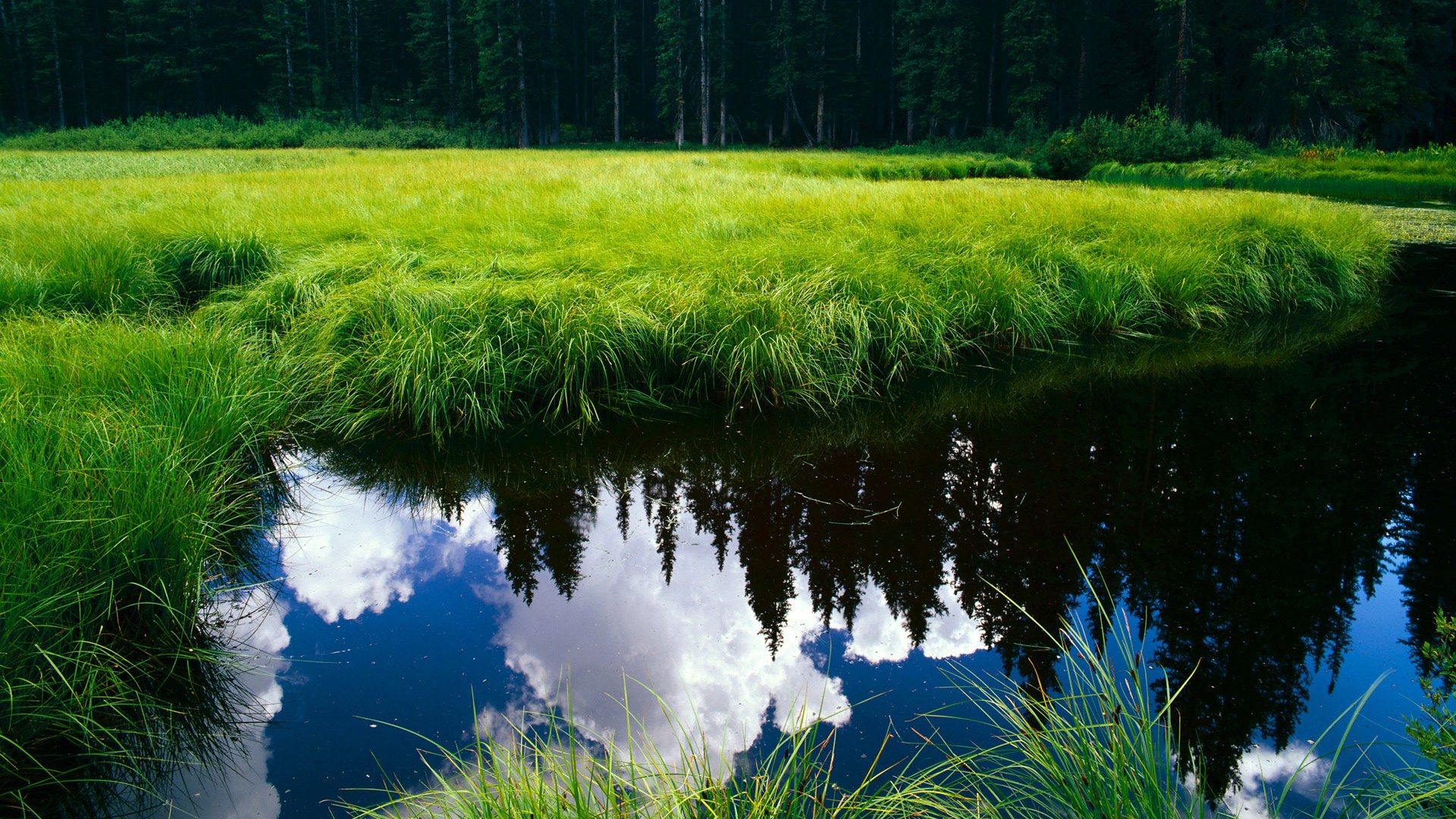 澳大利亚男队全球热度持续攀升，澳大利亚男子足球队名单